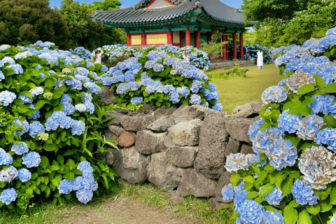 Circuit du festival Hydragea de Jeju : Itinéraire EST