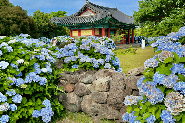 Circuit du festival Hydragea de Jeju : Itinéraire EST