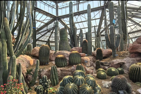South China Botanical Garden Pass: Rare Flora & Forests