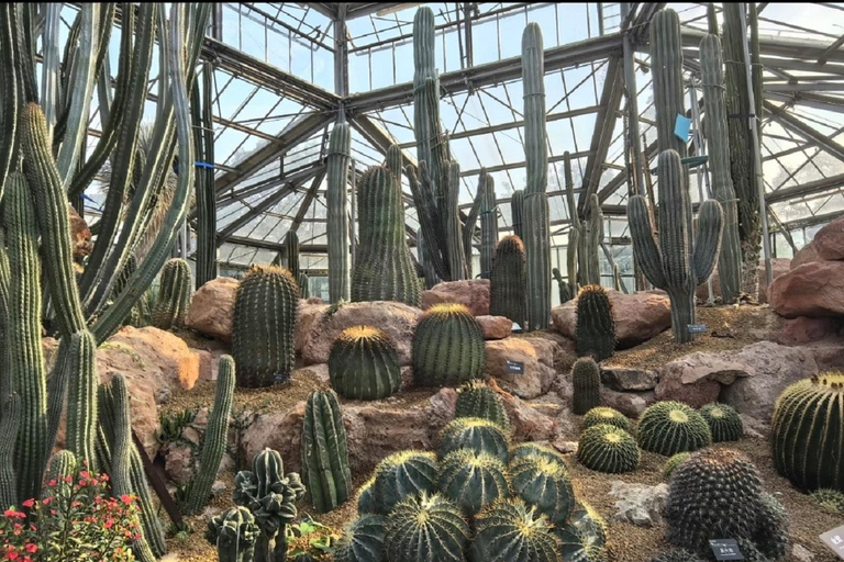 South China Botanical Garden Pass: Rare Flora & Forests