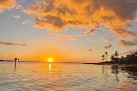 Naples, FL: Stand-Up Paddleboard Rental 24h Stand-Up Paddleboard Rental
