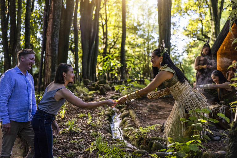 Desde Auckland Te Pā Tū Pueblo Maorí Tour Privado de un Día