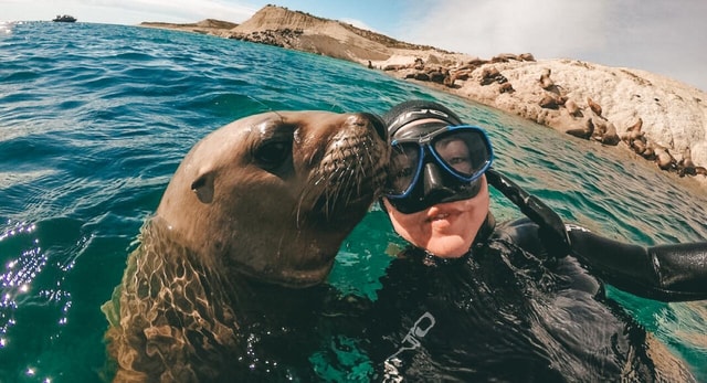 Lima: Excursion to Palomino Island | Entrance, sea lions |