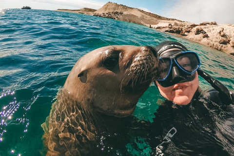 Lima: Excursión a la Isla Palomino | Entrada, leones marinos |