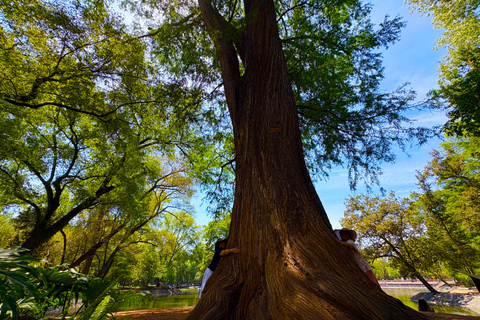 Ciudad de México: visita guiada al castillo y bosque de Chapultepec