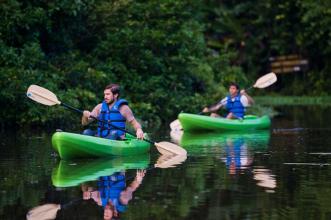 Parque Nacional de Tortuguero: Las mejores cosas que hacer en Tortuguero