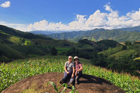 Chiang Rai: 2-Day Jungle Trek only walk with Waterfall