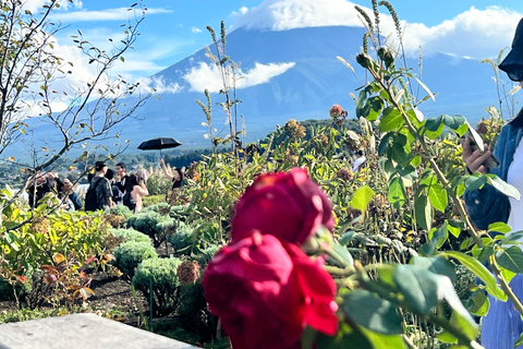 Från Tokyo: Fuji-berget eller Hakone Sightseeing Privat dagstur
