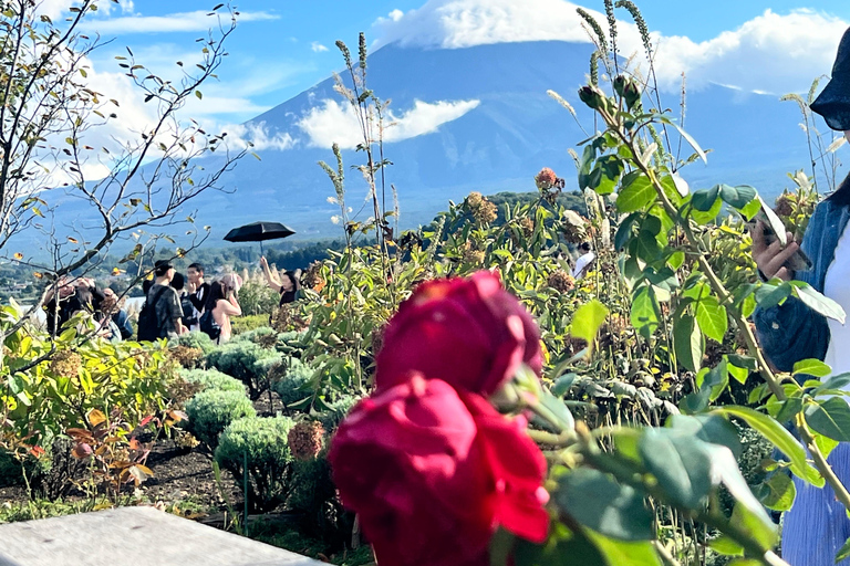 Från Tokyo: Fuji-berget eller Hakone Sightseeing Privat dagstur