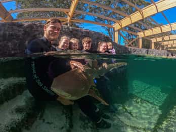Anna Bay: Irukandji-Entry-Pass mit Zebrahai-Begegnung