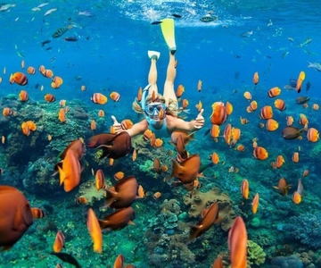 Coki Beach: Snorkel Experience