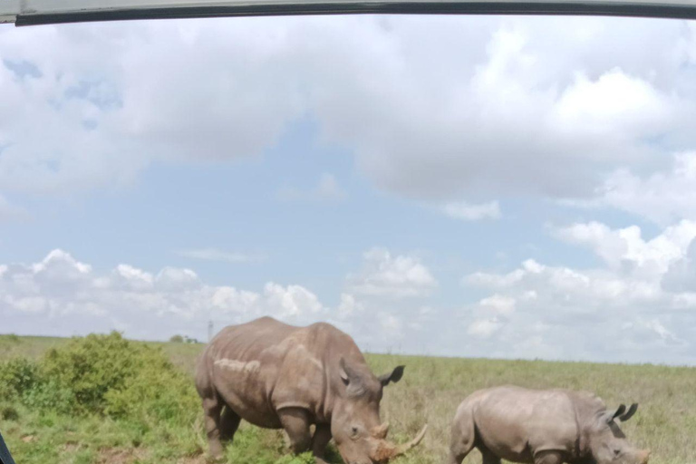 Nairobi: Half Day guided tour to Nairobi National Park