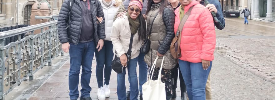 Visite à pied - Les points forts de Gand et au-delà