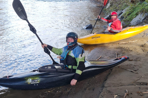 Graz: tour per principianti in kayak sulla Mur