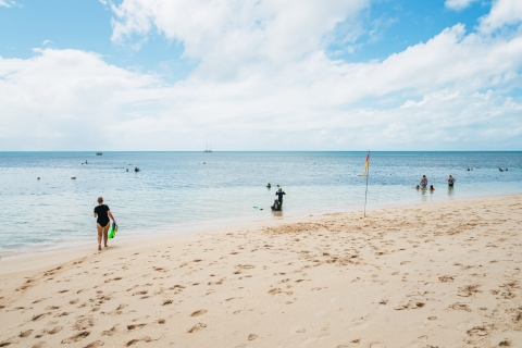 Cairns: visite de l'île verte et de la grande barrière de corailCroisière Barrière de corail et  2 plongées d'initiation