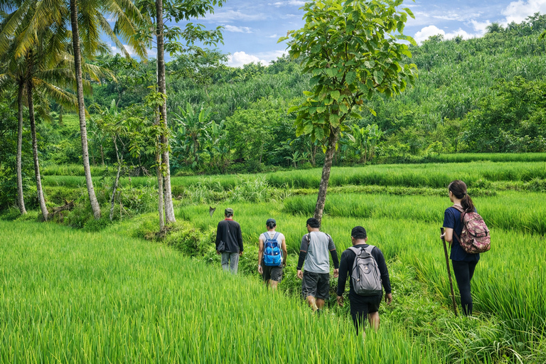 Bali: Sekumpul Waterfall With Waterslide & Rice Terrace Trek Group Tour with Hotel Transfer in Central Bali Area