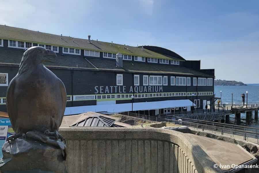 Seattle: Eintrittskarte für das Aquarium & digitale Stadtführung. Foto: GetYourGuide