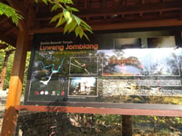 Explore Jomblang Cave and Timang Beach - Housity