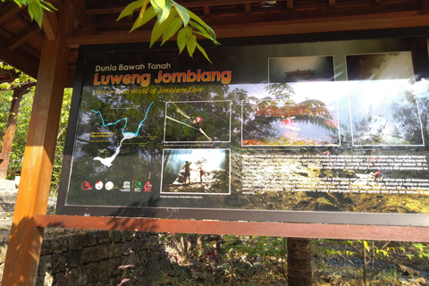 Erkunde die Jomblang-Höhle und den Timang-Strand