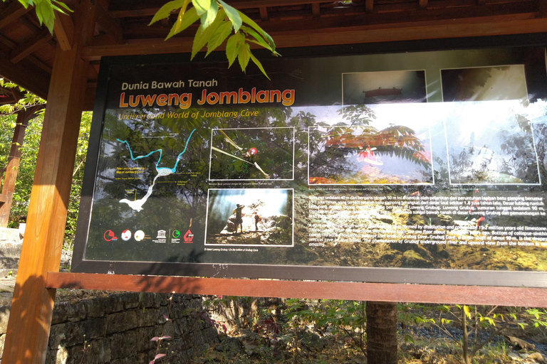 Explore Jomblang Cave and Timang Beach