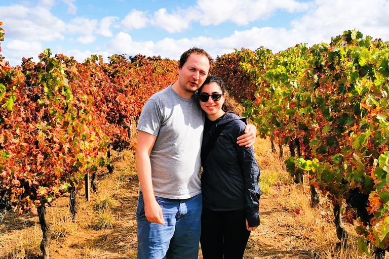 Private day tour to Évora: cork, factory, winery & the city