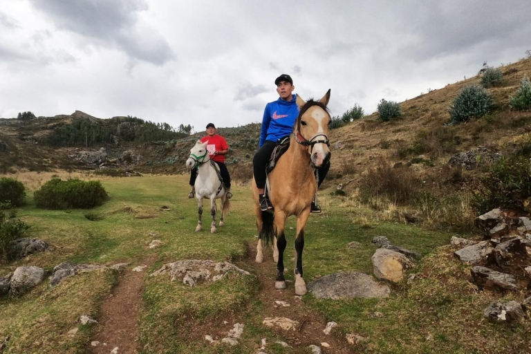 Horse ride through Sacsayhuaman, Qenqo and eucalyptus forest