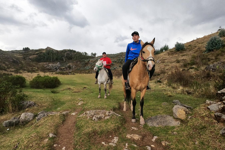 Randonnée à cheval à travers Sacsayhuaman, Qenqo et la forêt d'eucalyptus.