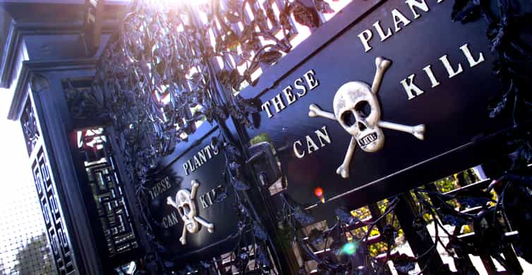 Edinburgh: Bamburgh Castle, Northumberland and Alnwick Trip photo 5