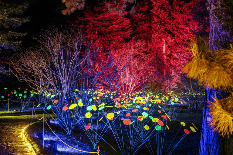 Stuttgart: Christmas Garden at the Wilhelma Zoo