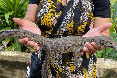 Mombasa: Excursión para alimentar cocodrilos en Mamba Village.