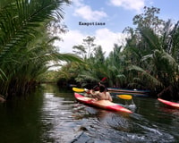 Tour del Kampot Day, campagna, fattoria di pepe e kayak - Housity