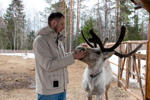 赫尔辛基：国家公园之旅含驯鹿农场探访赫尔辛基：国家公园之旅，含驯鹿农场参观
