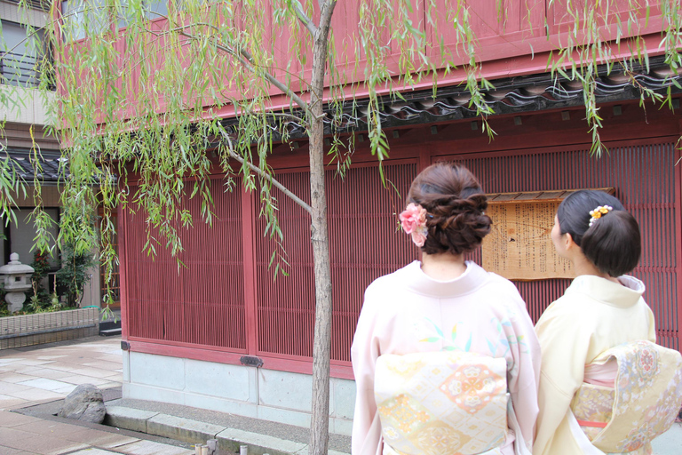 Kanazawa: Noleggio di kimono giapponesi vicino al distretto di Higashi Chaya