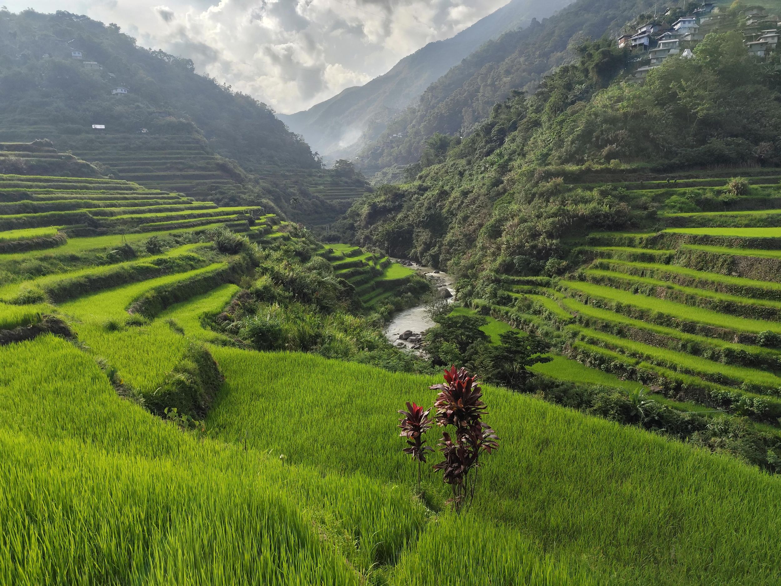 VON MANILA: 3-TAGE-TREKKING-TOURE ZU DEN REISTERRASSEN VON BANAUE UND BATAD