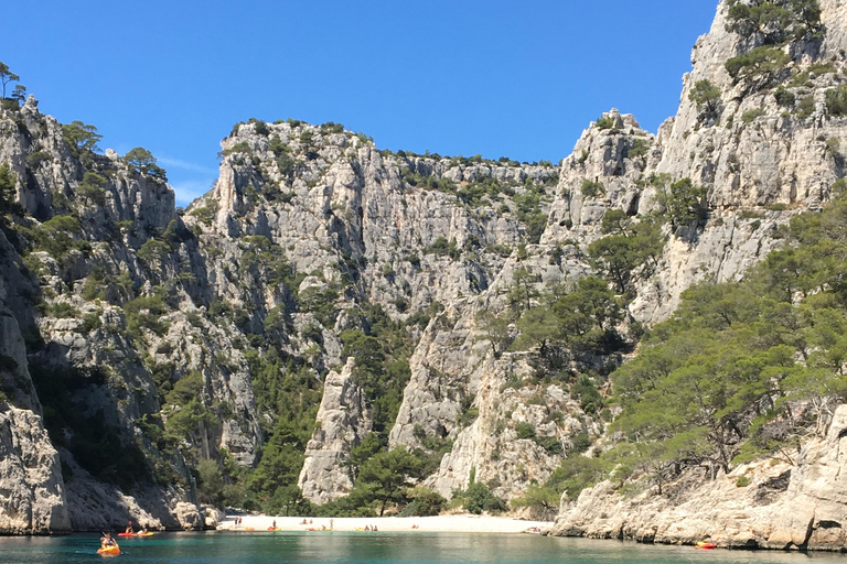 Visite privée Aix en Provence Cassis au départ de Marseille