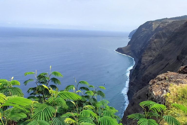 Madeira &quot;Mystery Tour&quot; heldag - privat 4x4-jeepHeldagstur till Madeira Mistery 4x4 - Privat