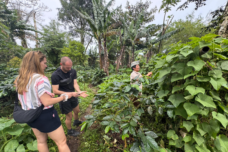 MUNDUK A Day with Local Farmers & Authentic Balinese Cooking