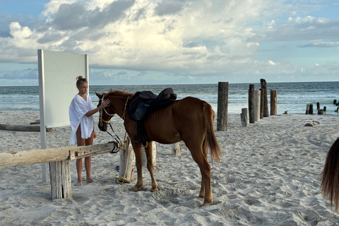 Salalah : Randonnée à cheval sur la plage avec prise en charge à l&#039;hôtel60 minutes d&#039;équitation sur la plage