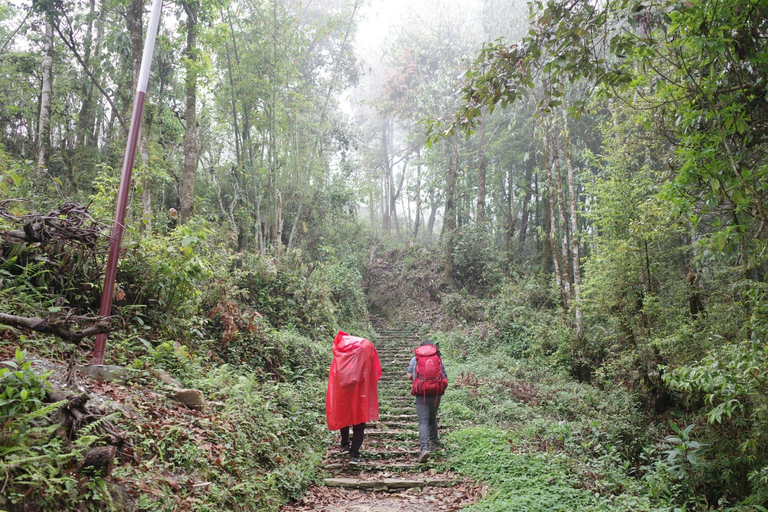 Från Katmandu: 8-dagars Mardi Himal Trek med transfer