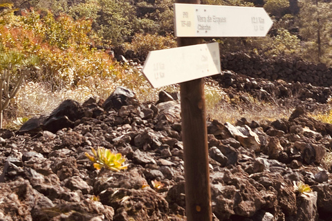 South Tenerife: Off-the-beaten-track buggy adventure South Tenerife: Full-Day Self-Drive Buggy Experience