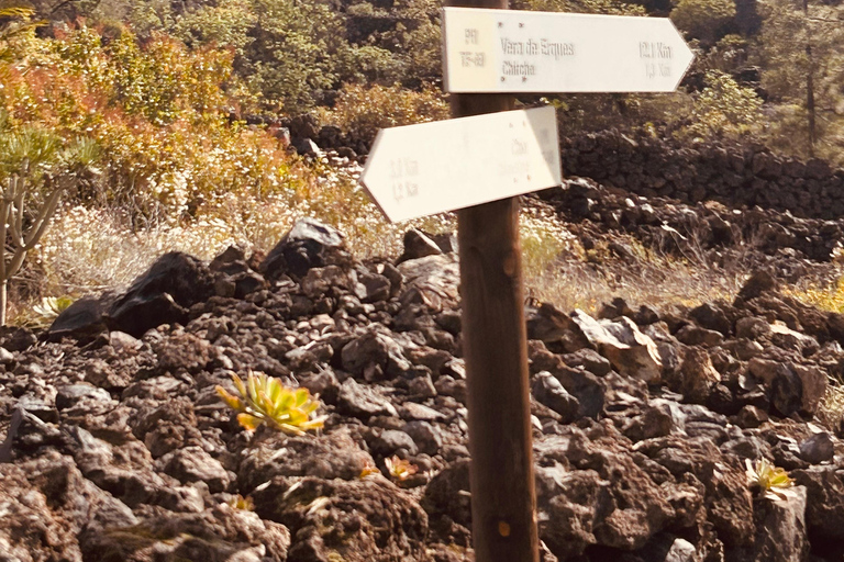 South Tenerife: Off-the-beaten-track buggy adventure South Tenerife: Full-Day Self-Drive Buggy Experience