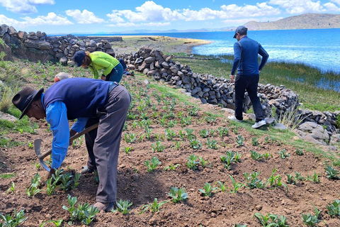 Lake Titicaca: Rural Accommodation and Immersive Experience on Amantani Island 2 Days / 1 Night – Rural Homestay and Immersive Experience on Amantani