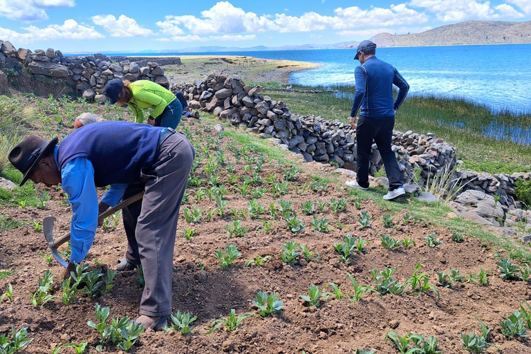 Lake Titicaca: Rural Accommodation and Immersive Experience on Amantani Island 2 Days / 1 Night – Rural Homestay and Immersive Experience on Amantani