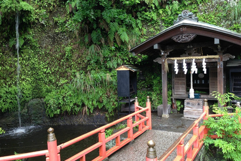From Tokyo: Kamakura Private Tour with Great Buddha & Bamboo