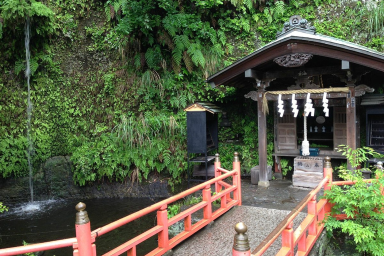 From Tokyo: Kamakura Private Tour with Great Buddha & Bamboo