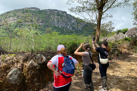 LOCATION: Hanthana to Galaha Pekoe Trail Stage 01 Trek Pekoe Trail Stage 01 -Hanthana to Galaha Tracking