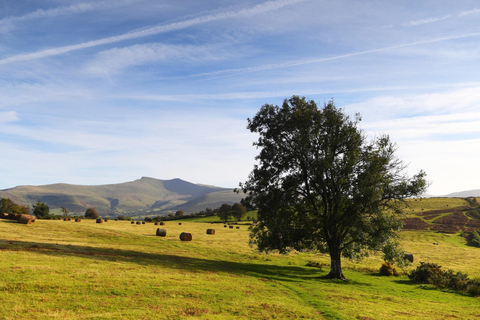 Von Cardiff aus: Valleys Heritage und Brecon Beacons Landschaften