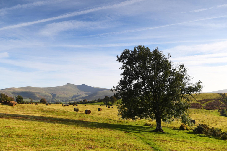 Från Cardiff: Valleys Heritage och Brecon Beacons landskap