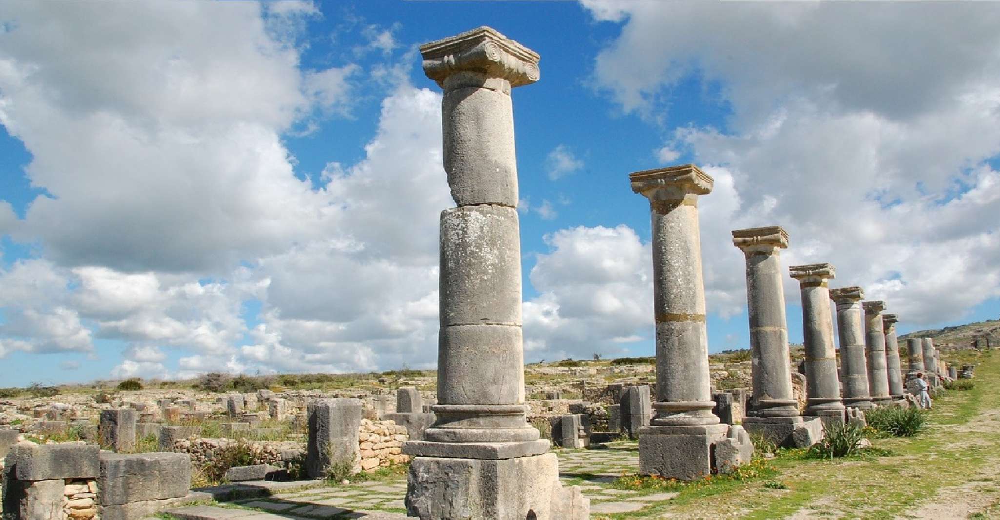 Fes, Volubilis Roman Ruins, Mouly Idriss, & Meknes Day Trip - Housity