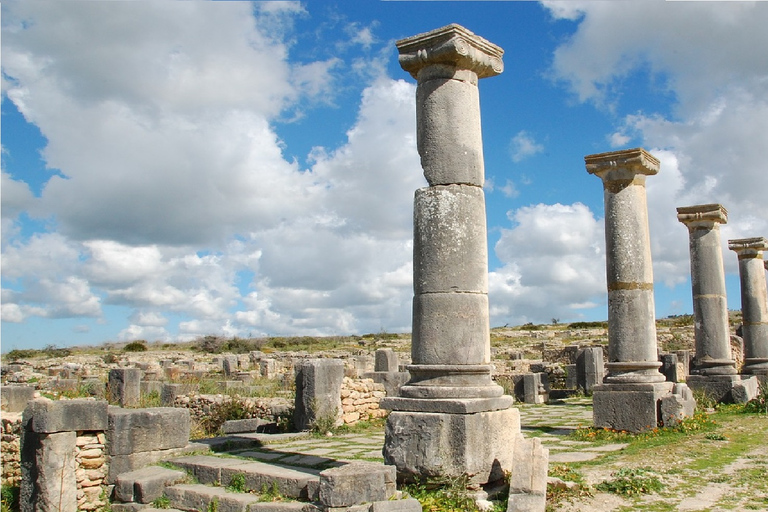 Fes: Volubilis Roman Ruins, Mouly Idriss, & Meknes Day Trip